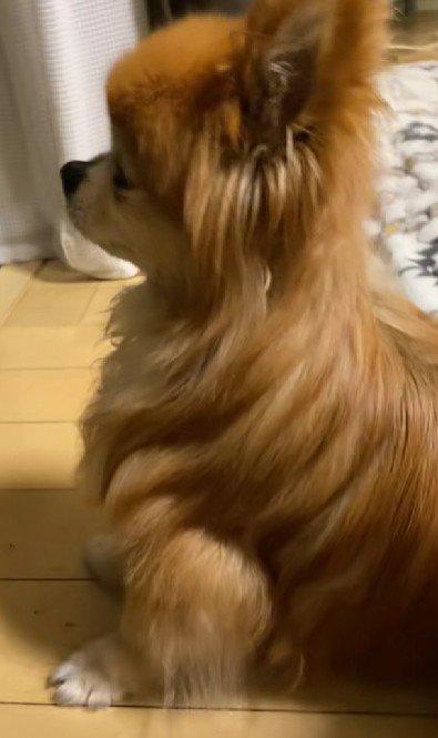 キラキラの夜景を楽しんでいるのかも