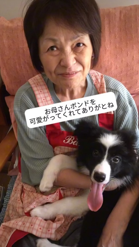 お母さんと犬