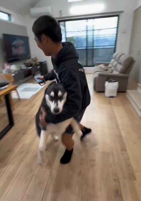 抱き合う犬とお兄ちゃん2