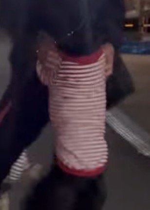 男性に飛びつく黒い犬