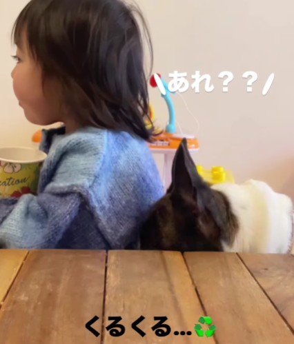 可愛い攻防戦にホッコリ