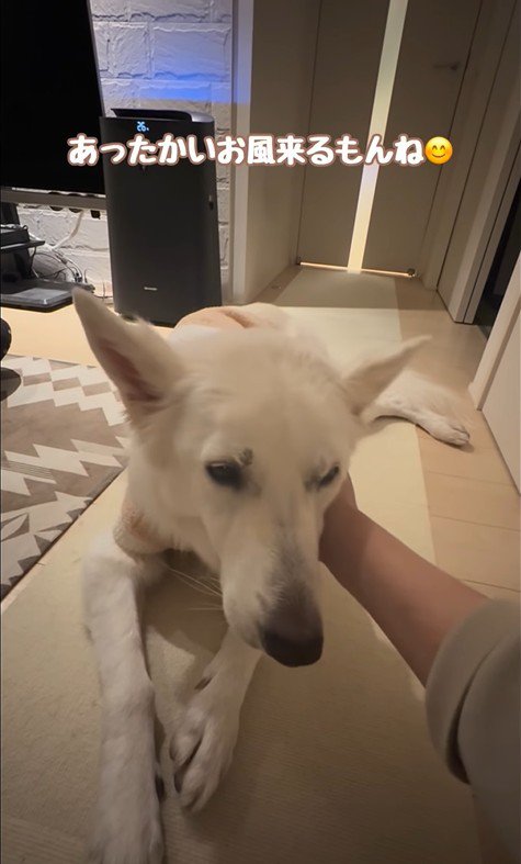 れお君の表情の変化9