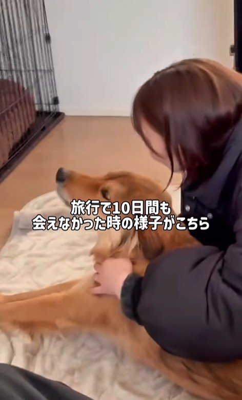 ママさん旅行中のラッキーくん3