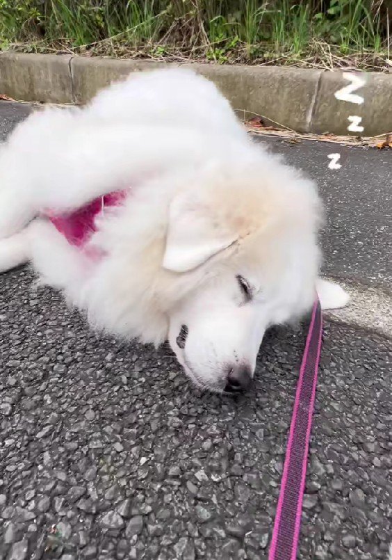逞しさに感嘆…！