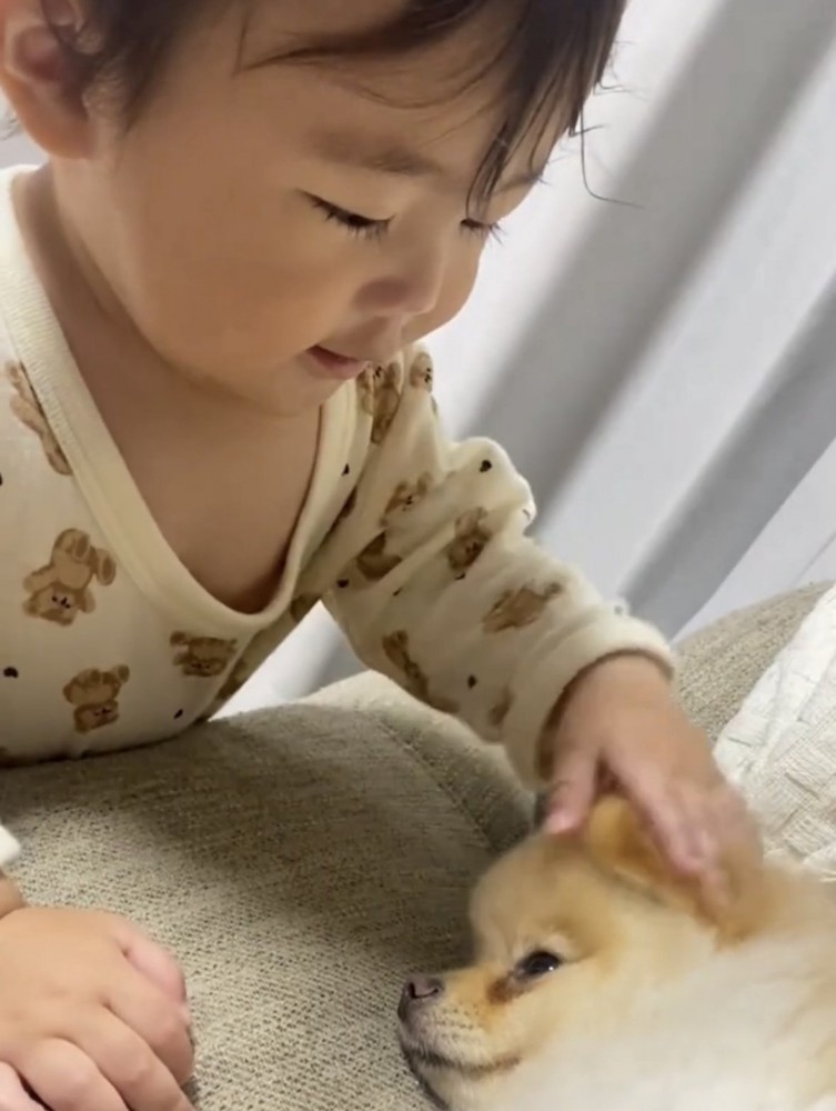 犬を撫でる子ども