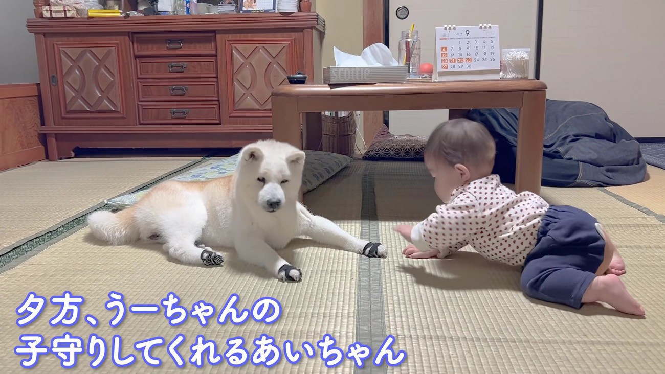 あいちゃんは17歳！！
