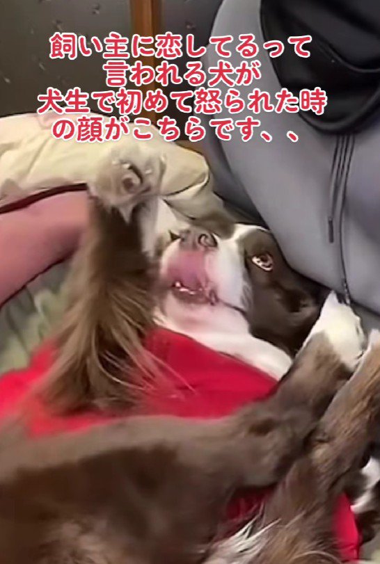 前世では夫婦だったのでは…