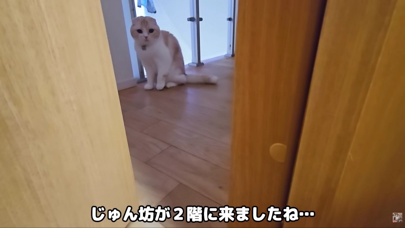 じゅんちゃんが訪れた