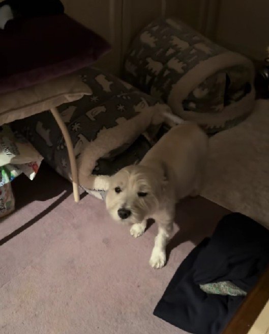 飛行機耳で喜んでいるけど…