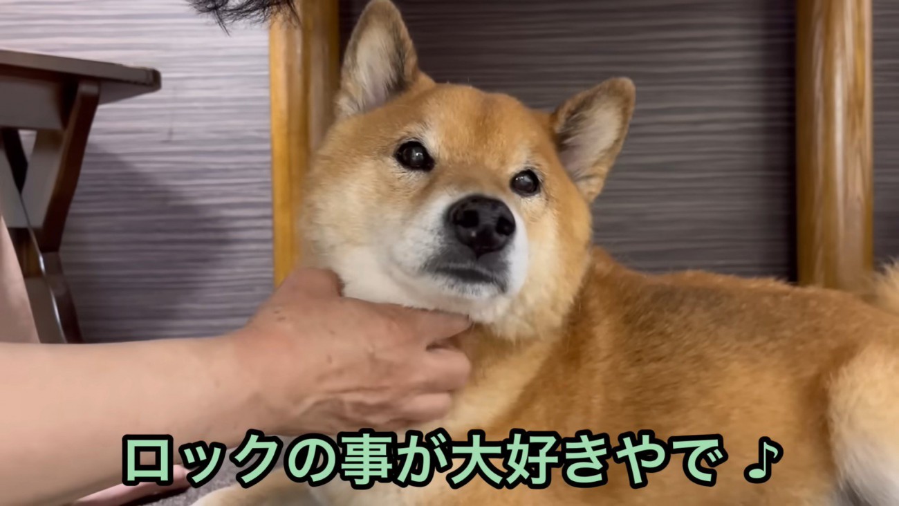 愛を伝えながらナデナデ…