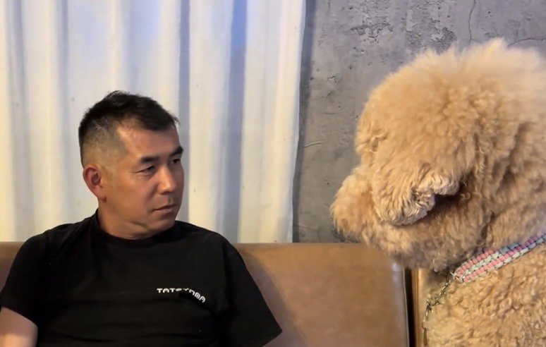 犬を見つめ返す人