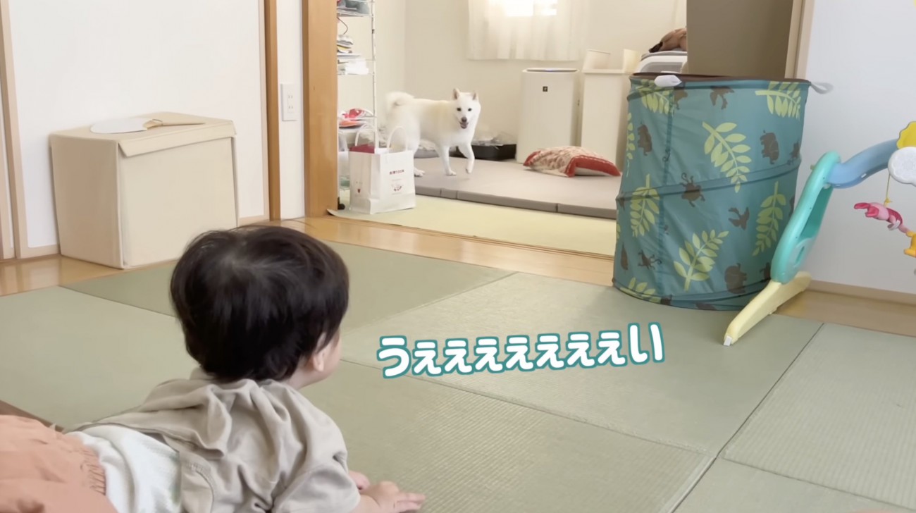 「！！」