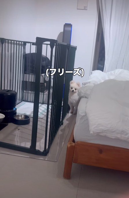 フリーズしてしまった