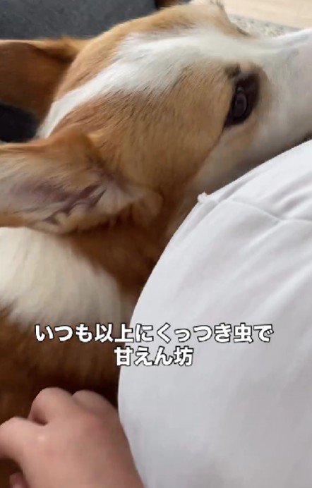 「もういなくならないでね」