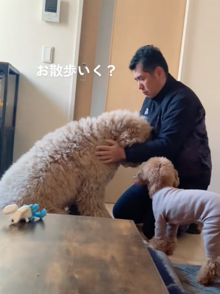 パパの顔を見つめる大型犬