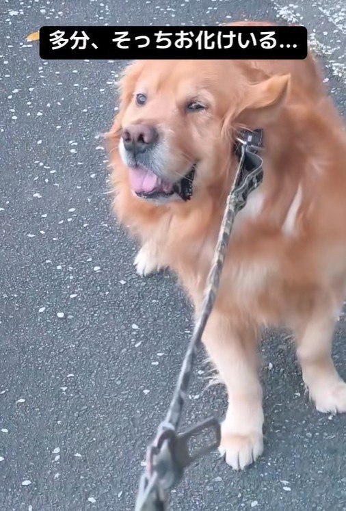踏ん張って歩くことを拒否