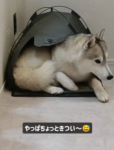 「ちょっと狭い…」