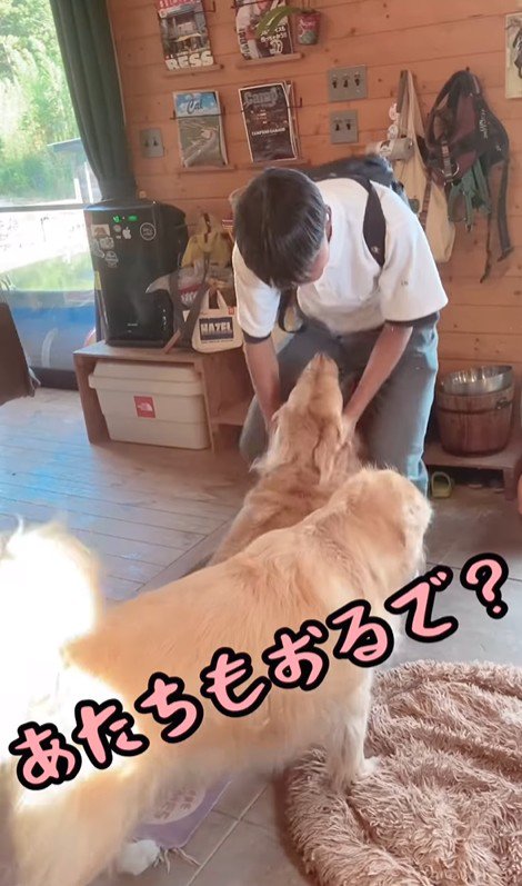 お兄ちゃん帰宅時のボスくん＆ルナちゃん9