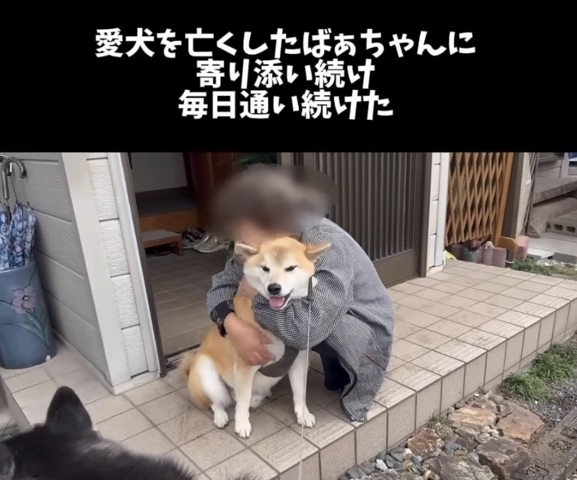 人に抱きしめられる犬
