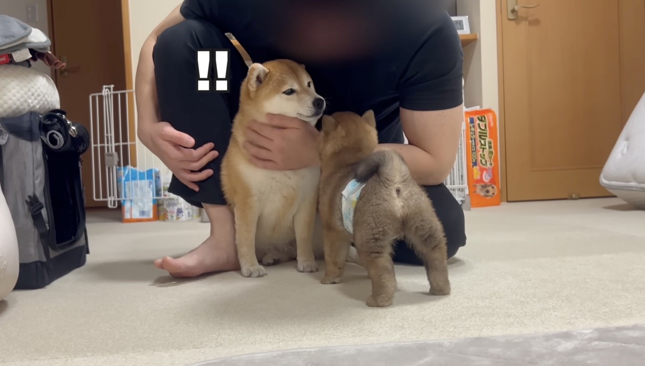 イチャイチャタイムに、ゆきちくん乱入