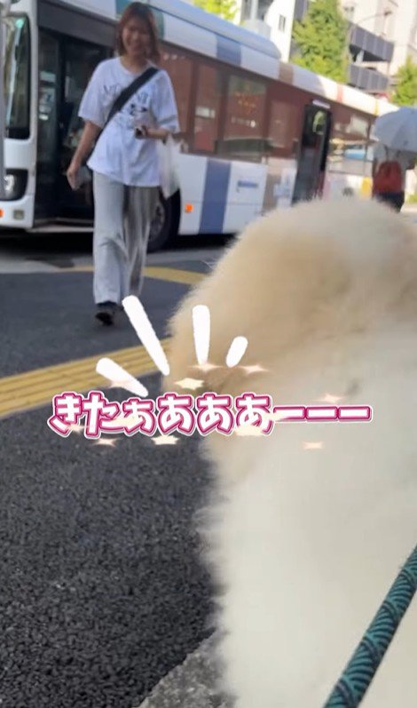 お姉さんを迎えに来たボンドくん8