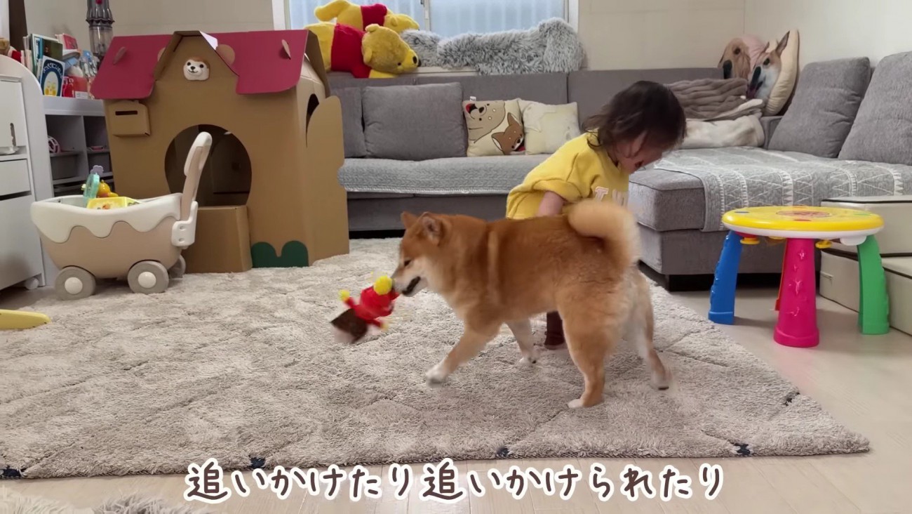 ほのちゃんとうにくん