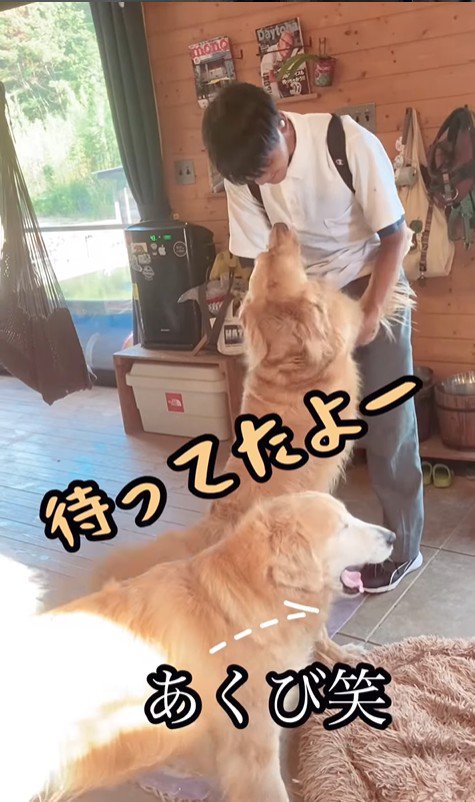 お兄ちゃん帰宅時のボスくん＆ルナちゃん8