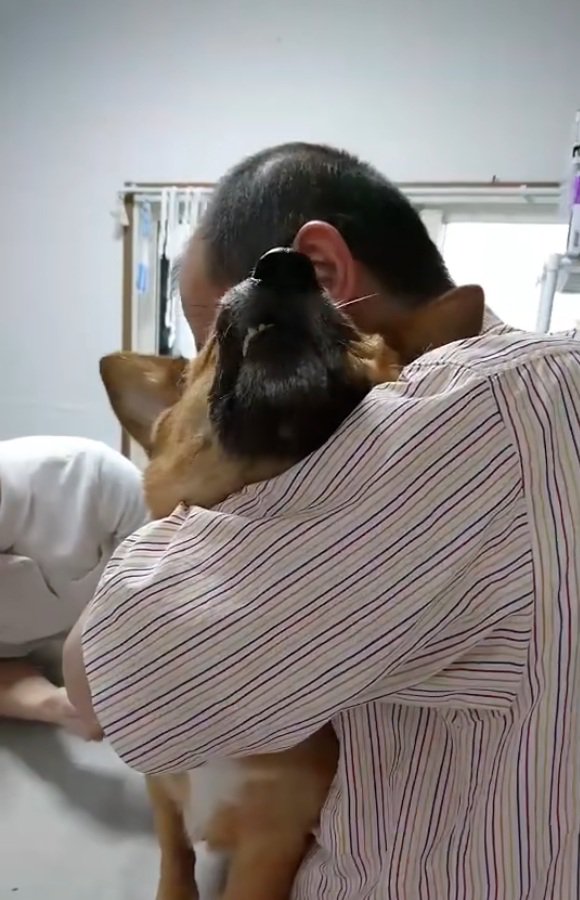 つばを飲み込むわんこ