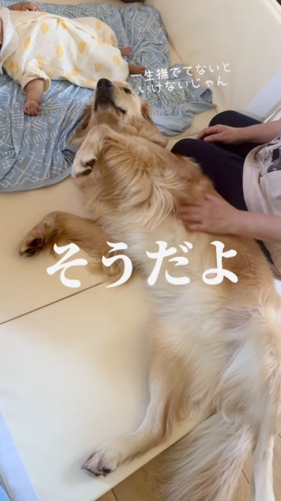 犬の体を再び撫で始める女性