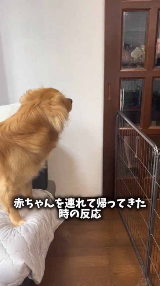 赤ちゃんを抱っこしてドアの前に立つ男性
