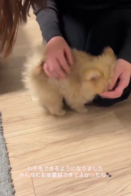 「もっと褒めて～」