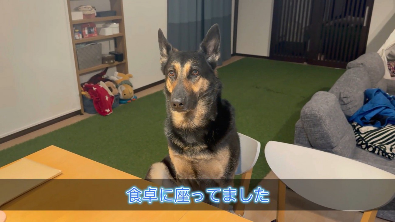 ご飯のことで頭がいっぱい！