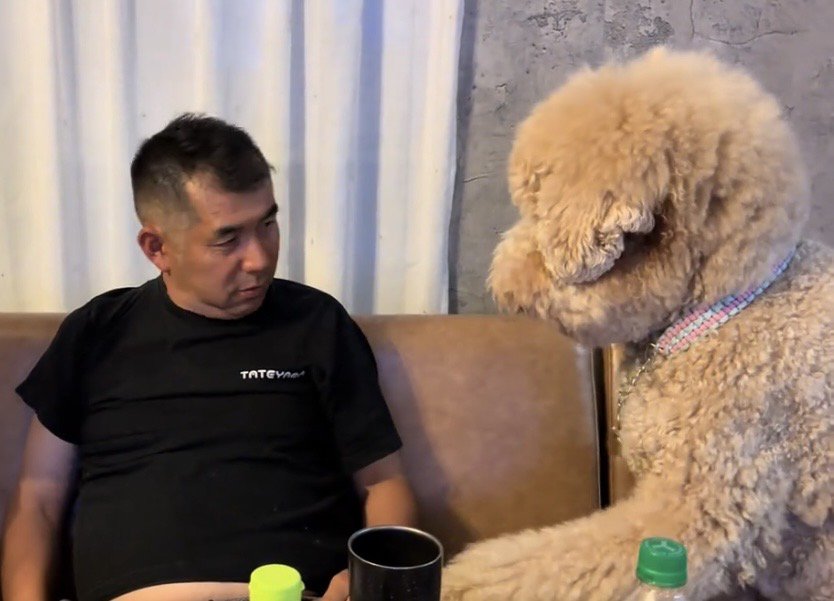 人のそばに前足を置く犬