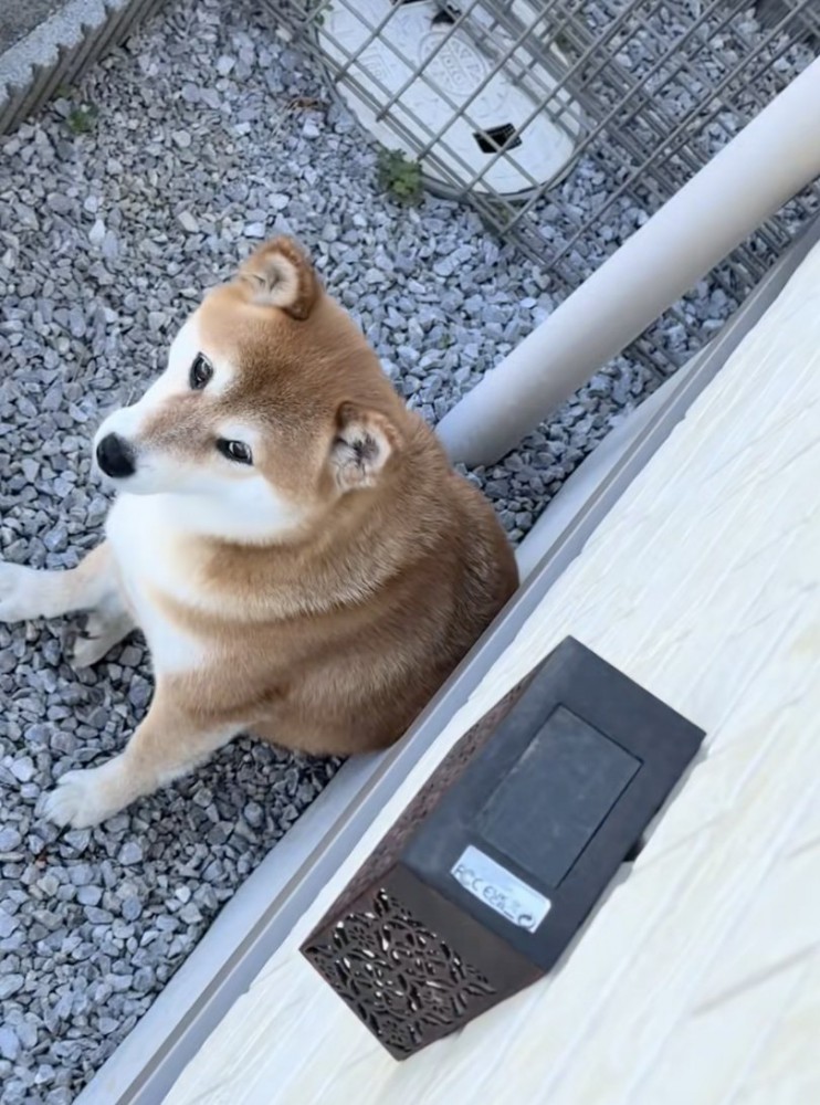「どうにかならない？」