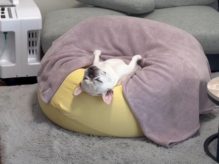 反省の色なし！？