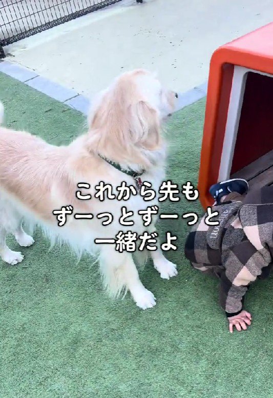 これからも仲良くね