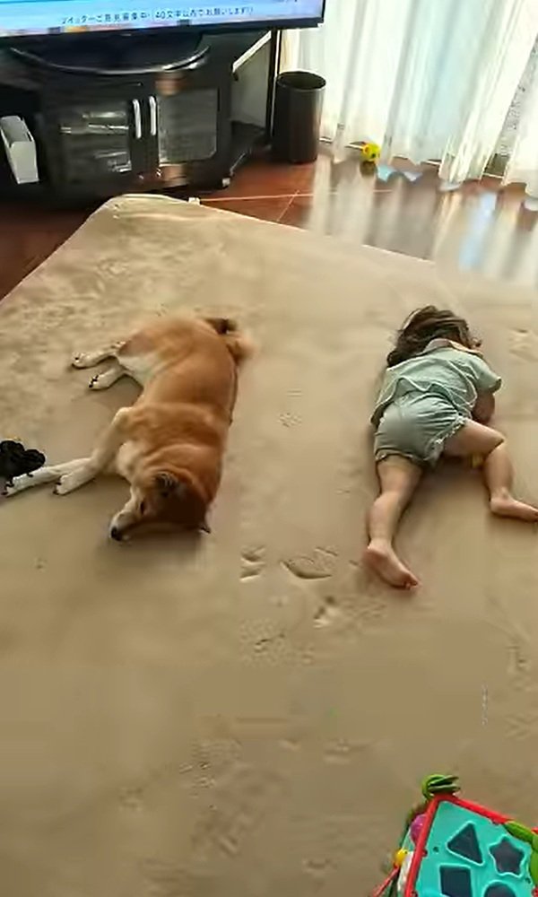 離れて眠るふたり