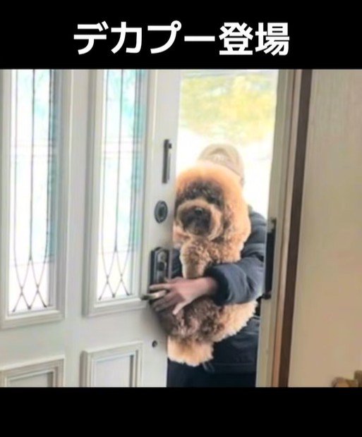 おばあちゃんの家に到着♪