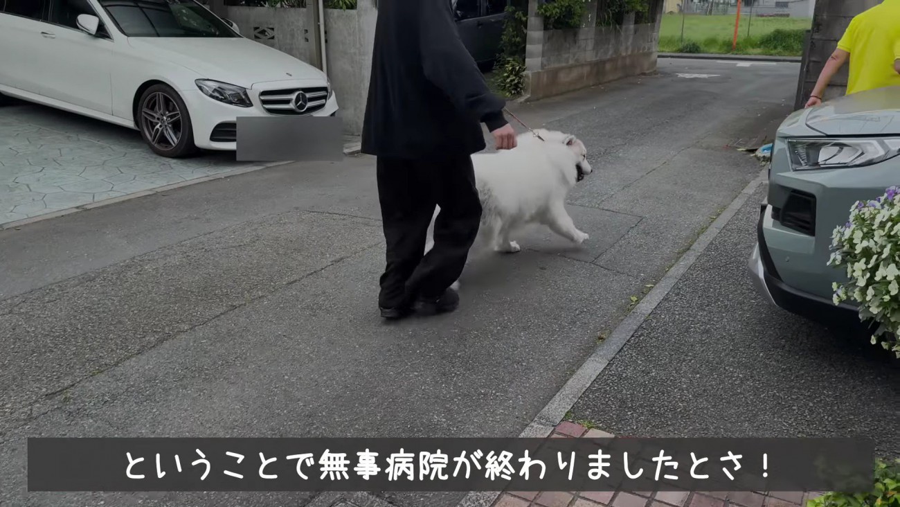 「もう帰る！」