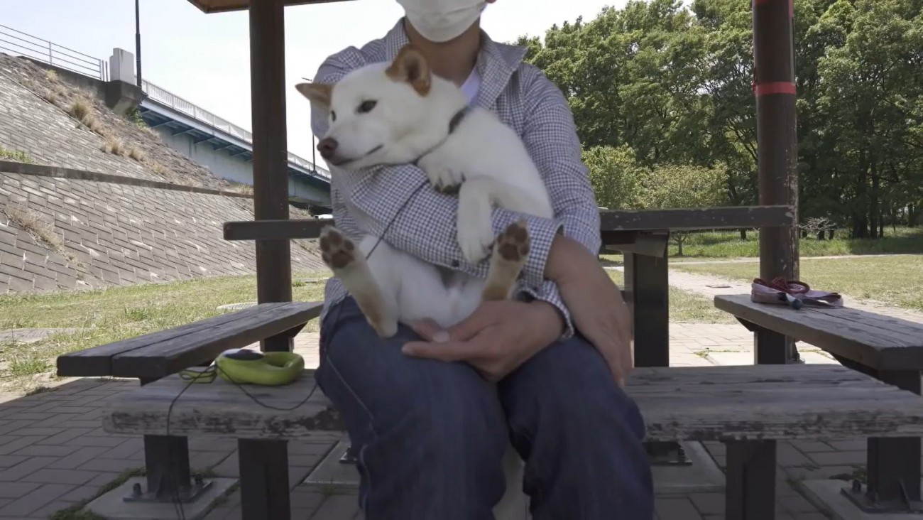 大人しく抱っこされています♡