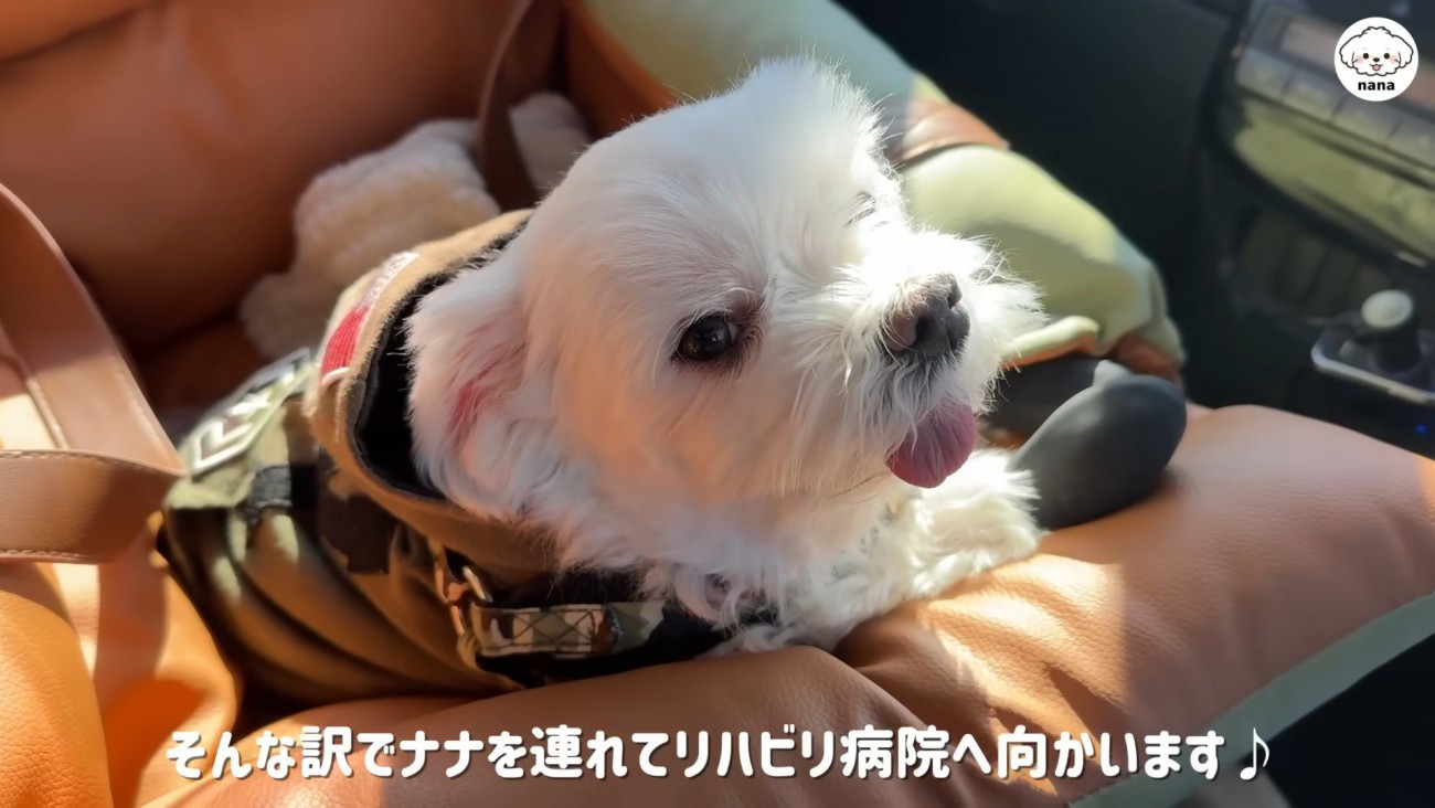 車で病院に向かいます