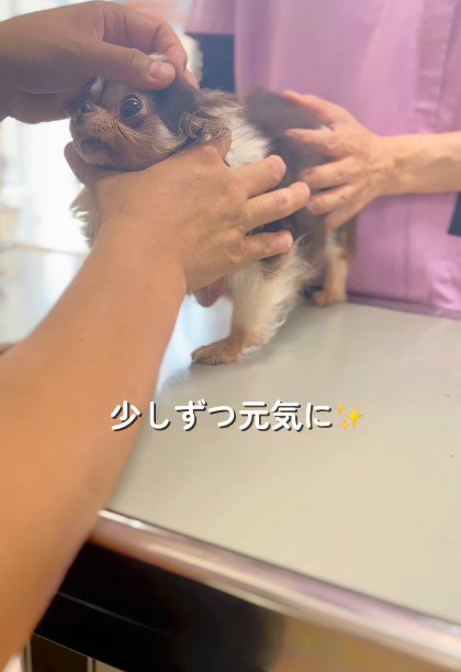 少しずつ健康を取り戻して…