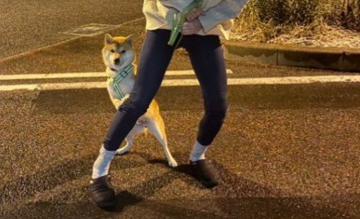 拒否するりくちゃん