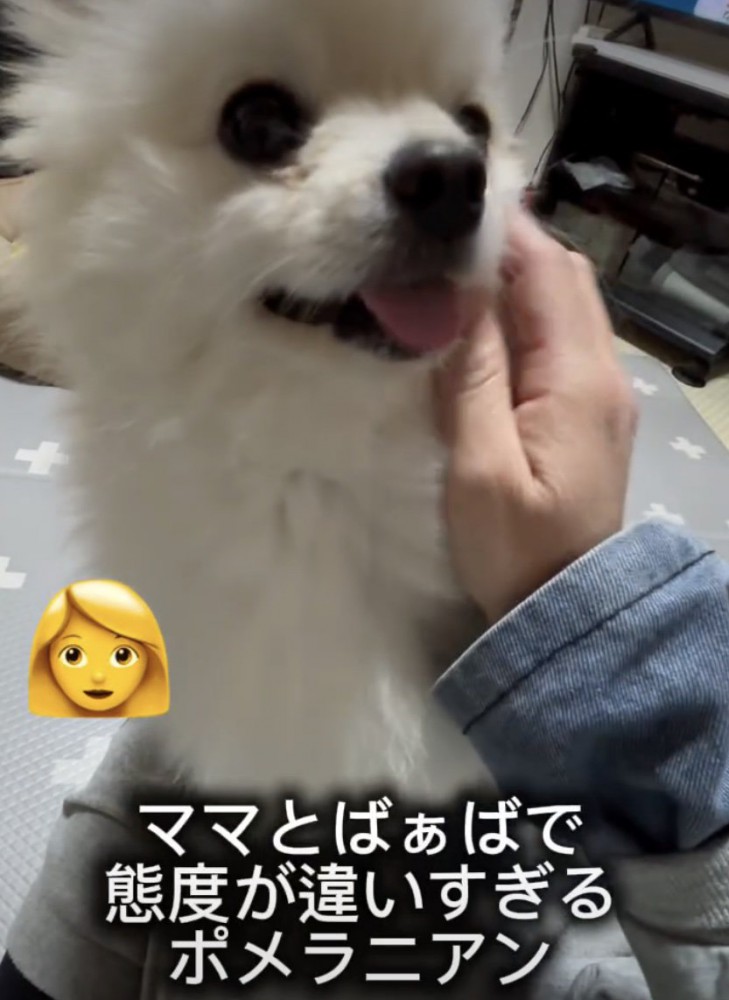 おめめクリクリ