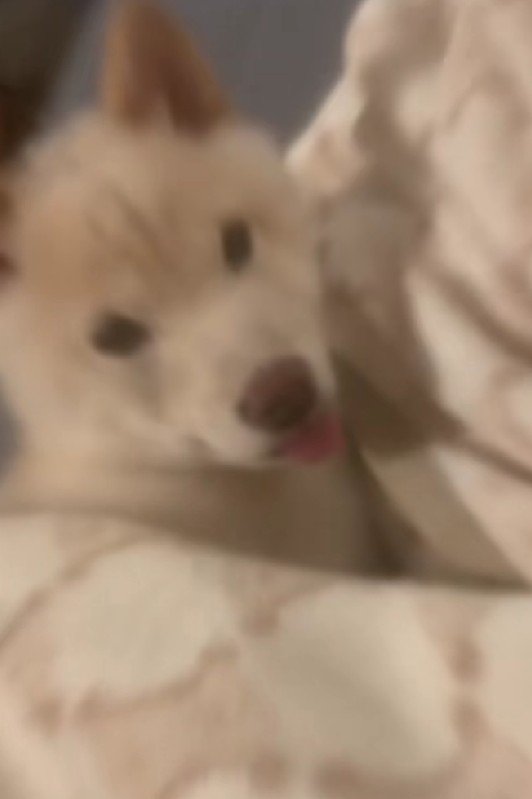 夢の中へ…！？