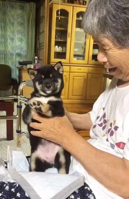 カメラ目線のあさちゃん