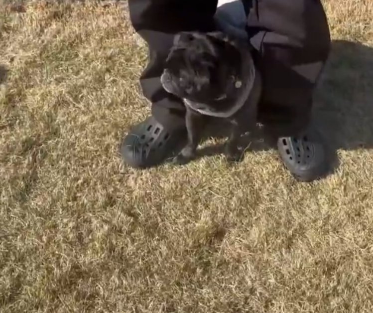 キョロキョロ