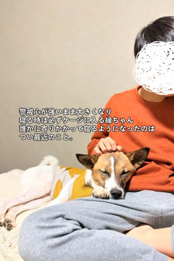 家族に寄りかかって眠る犬