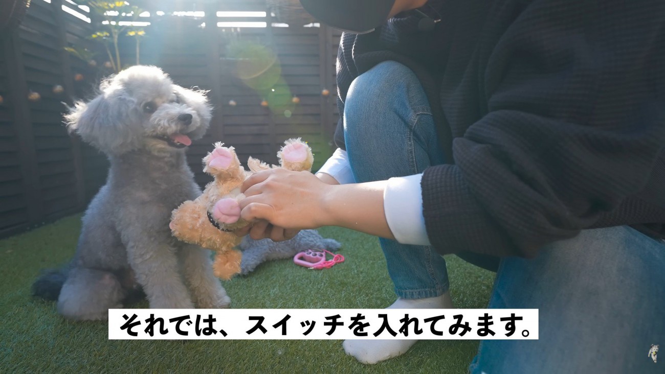 スイッチを入れたら…