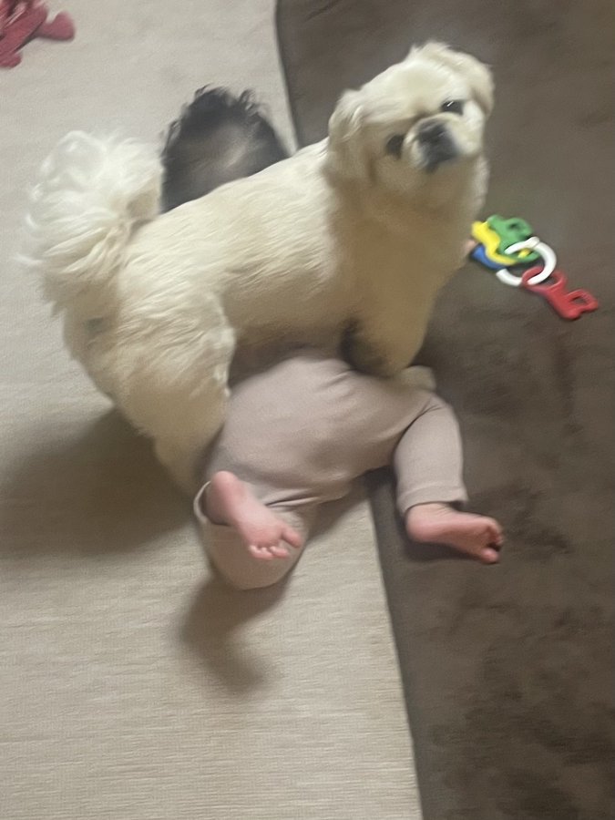 寝返り